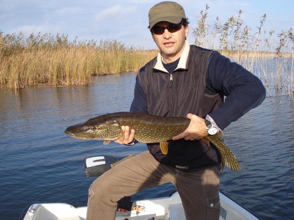 Stiucareala - Eliberare la Ultima Frontiera